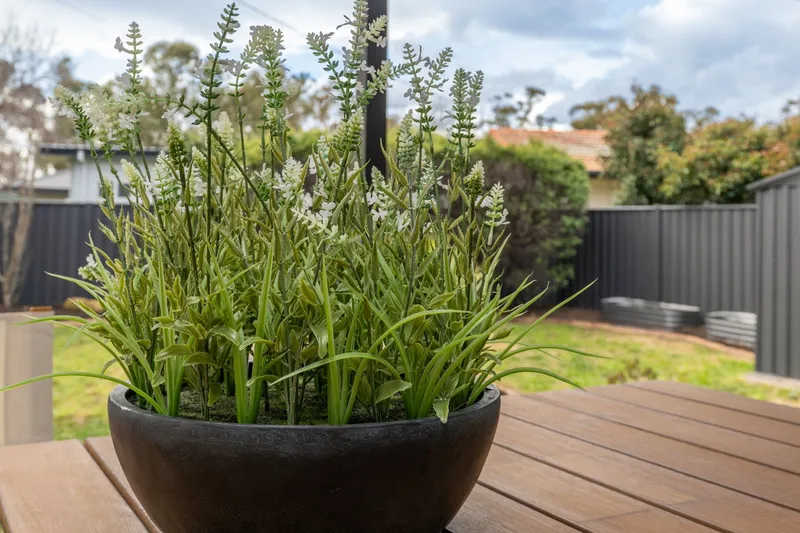 24 Mimosa Close, photo 5 of 12
