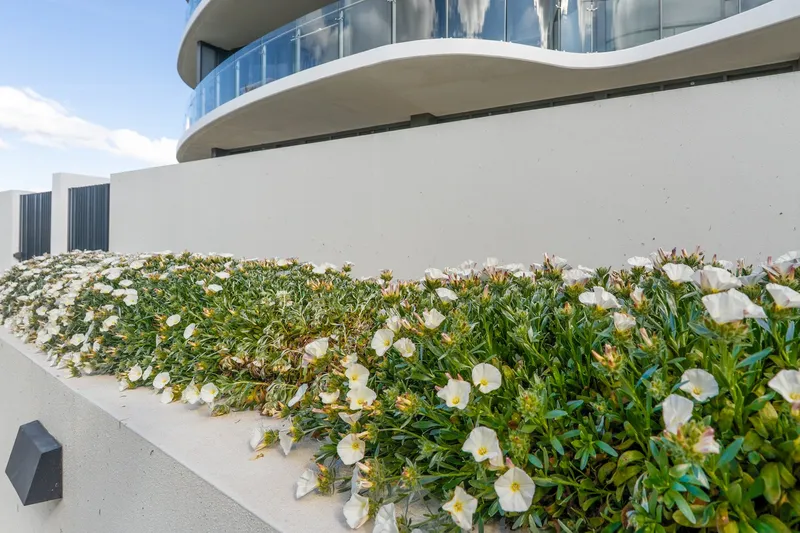 154/15 Irving Street, photo 4 of 12